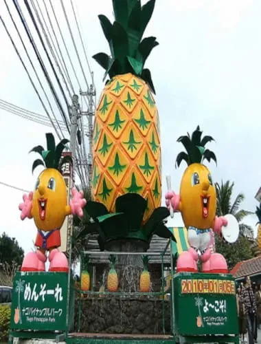 Nago Pineapple Park
