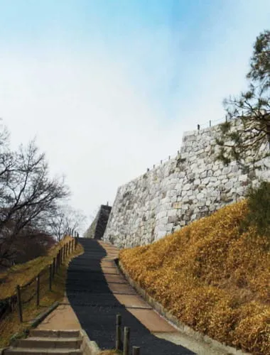 Nihonmatsu Castle