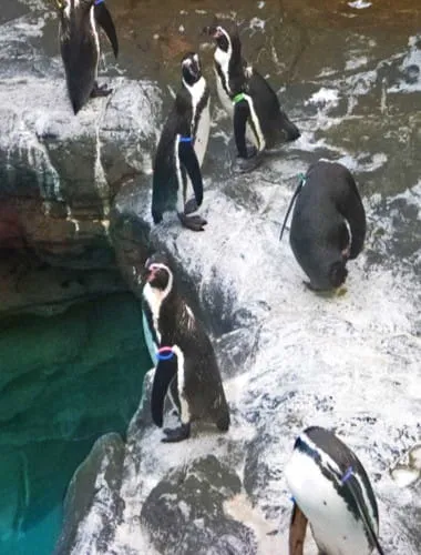 アクアワールド茨城県大洗水族館