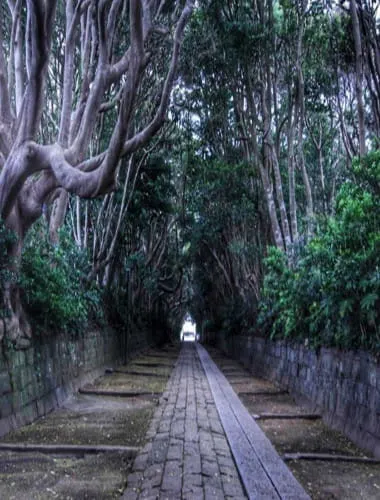 Sakatsuraisosaki  Shrine