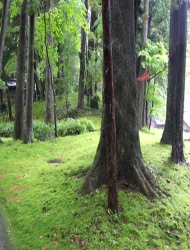 Nikko Tamozawa Imperial Villa Memorial Park