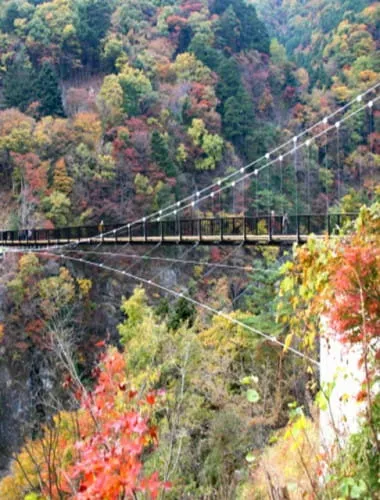 Kinutate Ootsuribashi