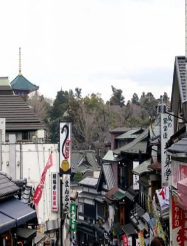 Naritayama Omotesando
