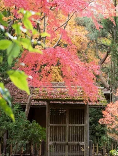 Naritasan Park