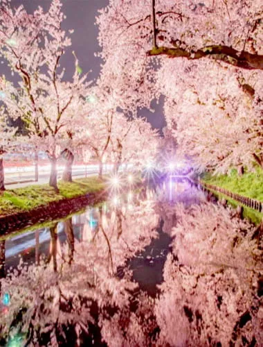 Hirosaki Park