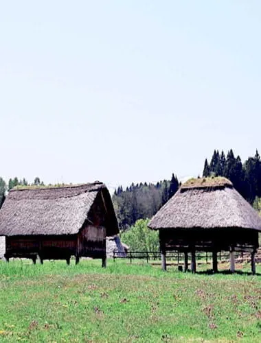 Sannnai-Maruyama Special Historical Site