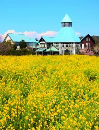 Road Station Tomiura Biwa Club
