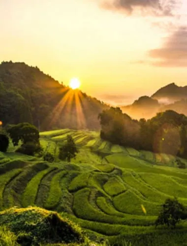 Oyama Senmaida Rice Terrace