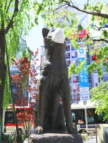 Statue of Hachiko
