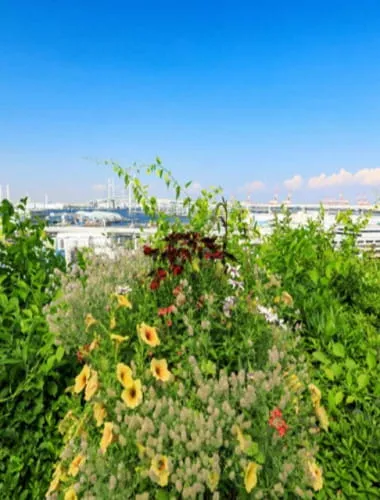 Minato-no-Mieru-Oka Park