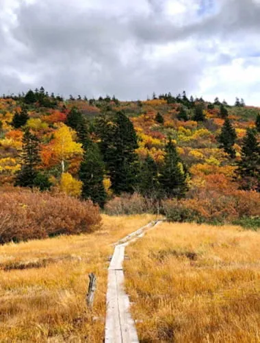 Hakkoda Mountains