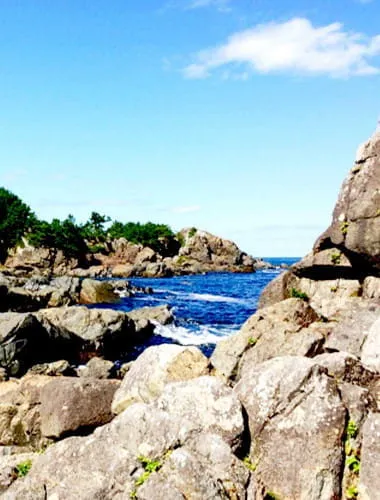 Tanesashi Coast