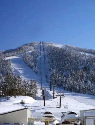 SKIJAM