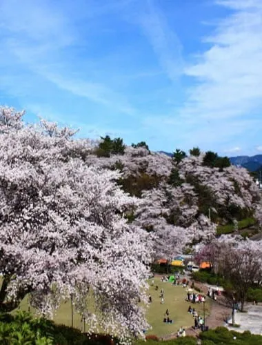 Nishiyama Park