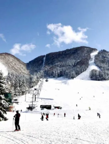 Nozawa Onsen Snow Resort