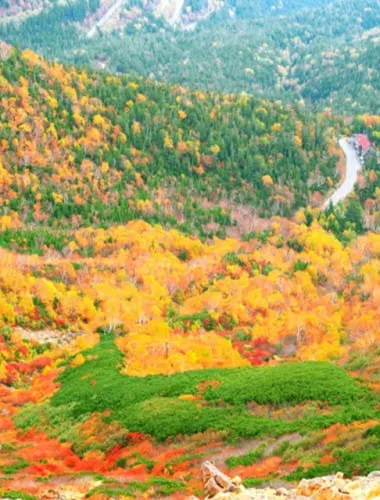 Norikurakogen